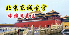 男男被猛男躁免费视频软件中国北京-东城古宫旅游风景区